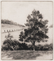 KG 1995 003
<br/>
Boom in weiland
<br/>
<em>Wesseling, Riek (1914-1995)</em>